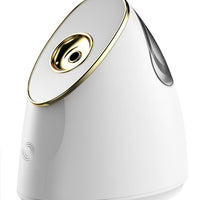 Source Manufacturer's New Product Beauty Steaming Face Sprayer UV Steaming Face Device