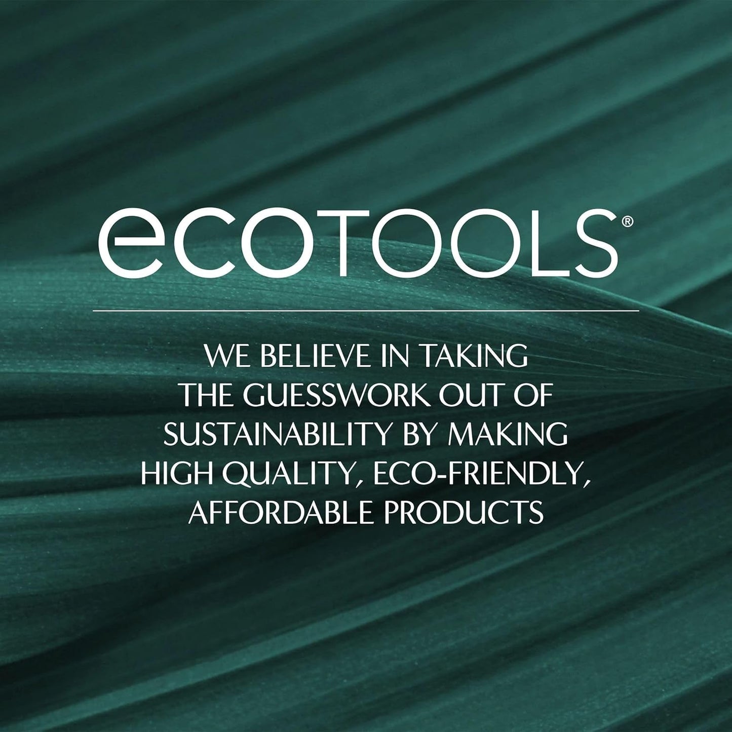6-Piece Eco-Friendly Makeup Brush Set for Flawless Application - Vegan & Cruelty-Free